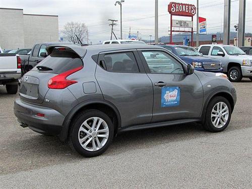 Nissan Juke 2011 photo 1