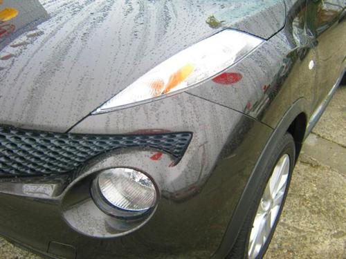 Nissan Juke 2011 photo 2