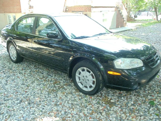 Nissan Maxima 2001 photo 1