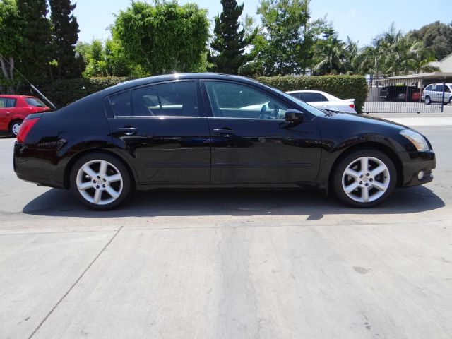 Nissan Maxima 2004 photo 6