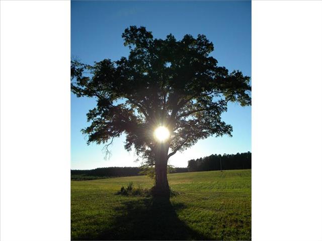 Nissan Maxima 2005 photo 11