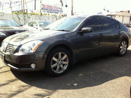 Nissan Maxima SE Convertible 2D Other