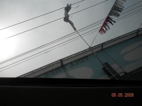 Nissan Maxima 2009 photo 3