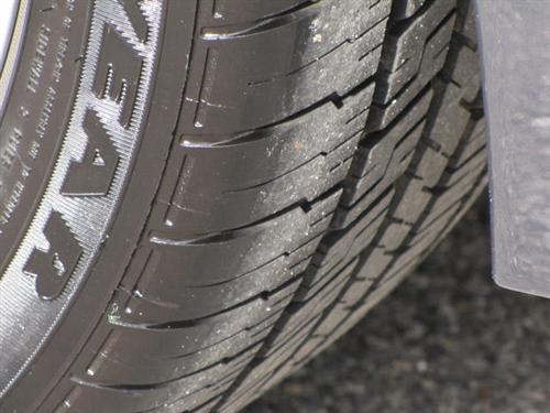 Nissan Maxima 2009 photo 1