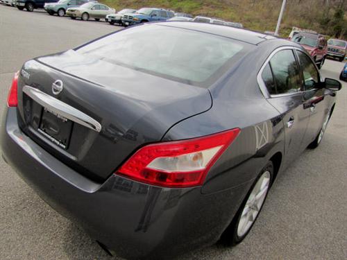 Nissan Maxima 2009 photo 2