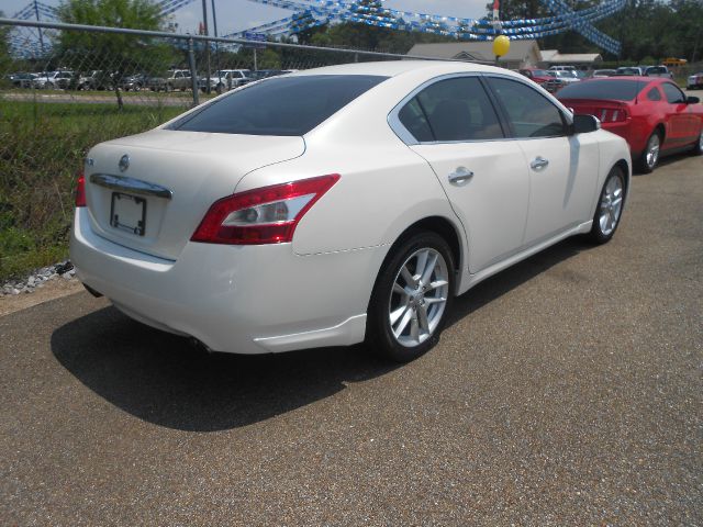 Nissan Maxima 2009 photo 2