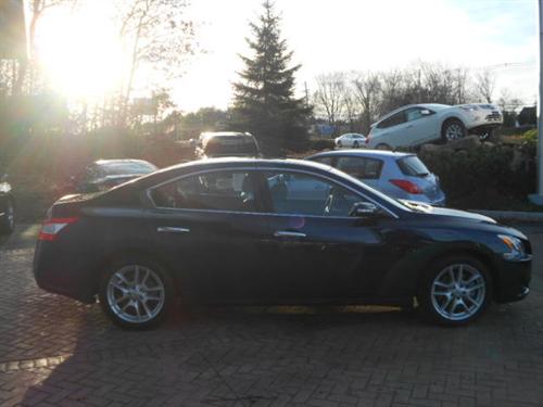 Nissan Maxima 2010 photo 1