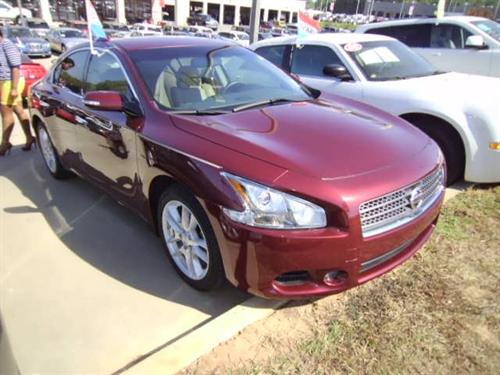 Nissan Maxima 2010 photo 2