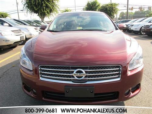 Nissan Maxima 2010 photo 1