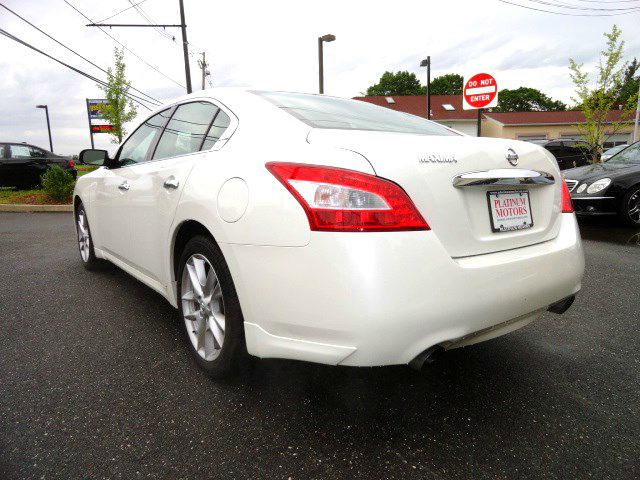 Nissan Maxima 2010 photo 1