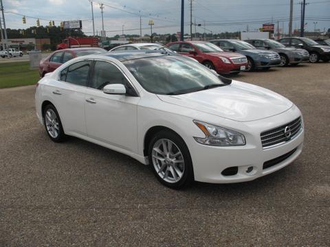 Nissan Maxima 2010 photo 2