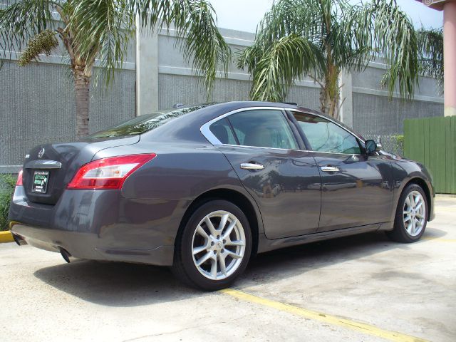 Nissan Maxima 4.6L Eddie Bauer Sedan