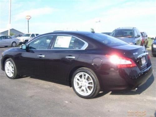 Nissan Maxima 2010 photo 1
