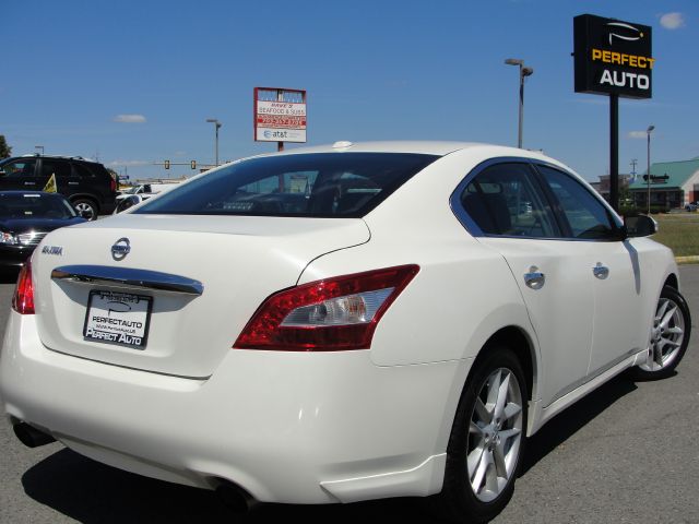 Nissan Maxima 2010 photo 2