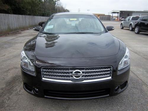 Nissan Maxima 2011 photo 1