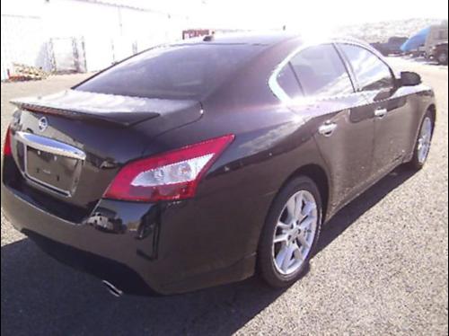 Nissan Maxima XR Other