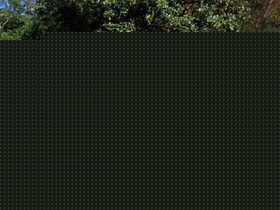 Nissan Pathfinder Unknown Sport Utility