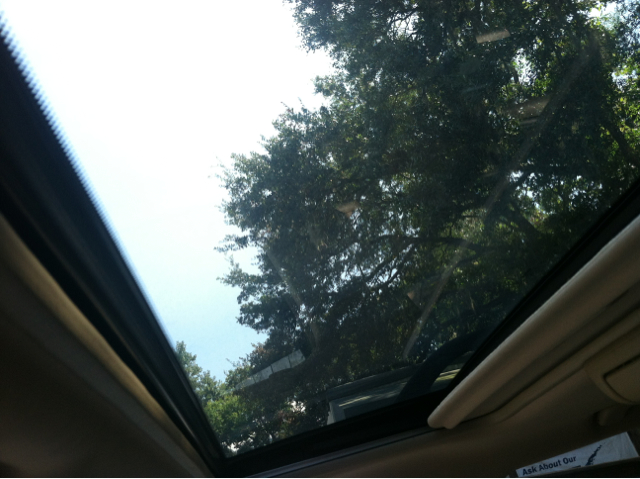 Nissan Pathfinder 2005 photo 4