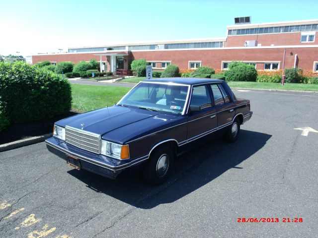 Plymouth Reliant 1983 photo 3