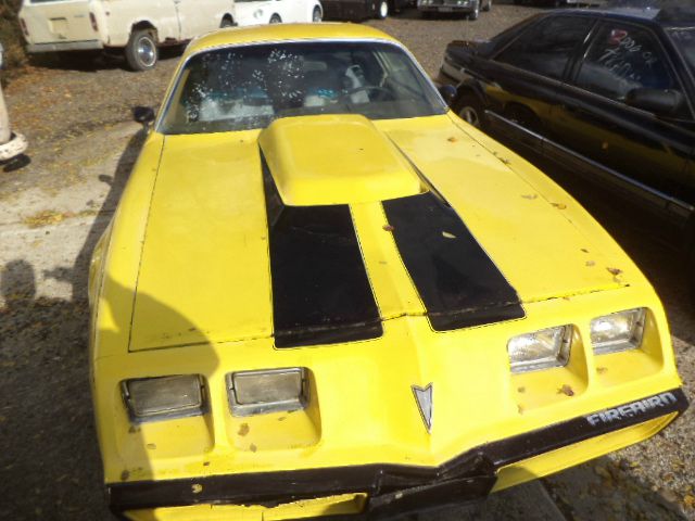 Pontiac FIRER BIRD 1981 photo 1