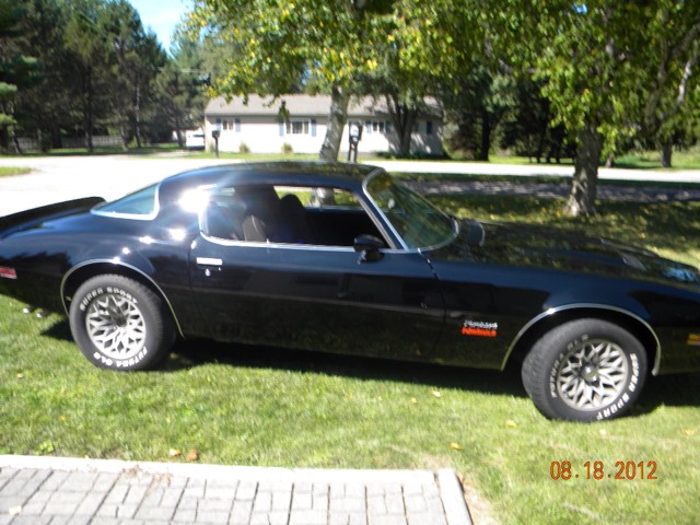 Pontiac Firebird 1976 photo 1