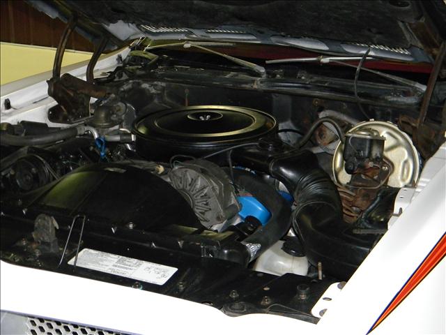 Pontiac Firebird 1976 photo 5