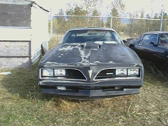 Pontiac Firebird 1977 photo 1