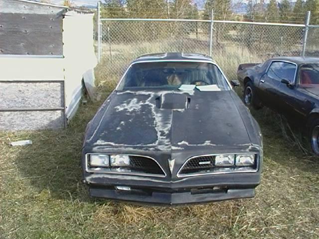 Pontiac Firebird 1977 photo 2