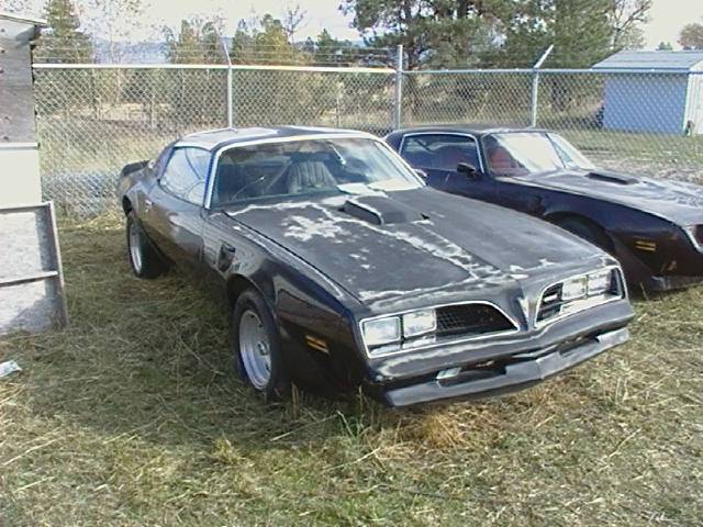 Pontiac Firebird 1977 photo 3