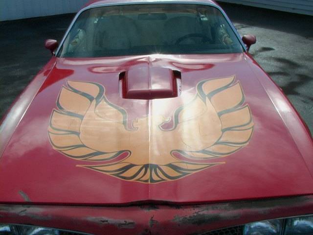 Pontiac Firebird 1977 photo 2
