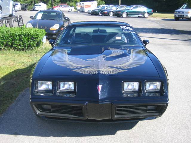 Pontiac Firebird 1981 photo 1