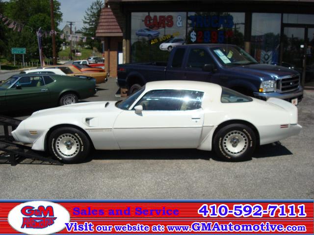 Pontiac Firebird 1981 photo 1