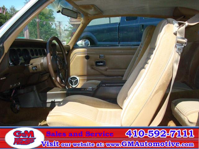 Pontiac Firebird 1981 photo 3