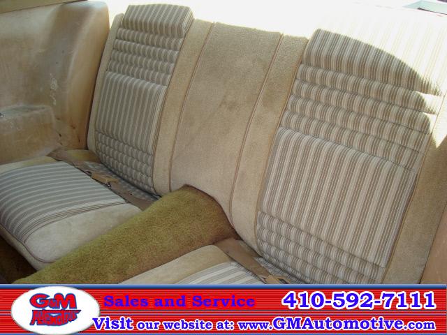 Pontiac Firebird 1981 photo 5