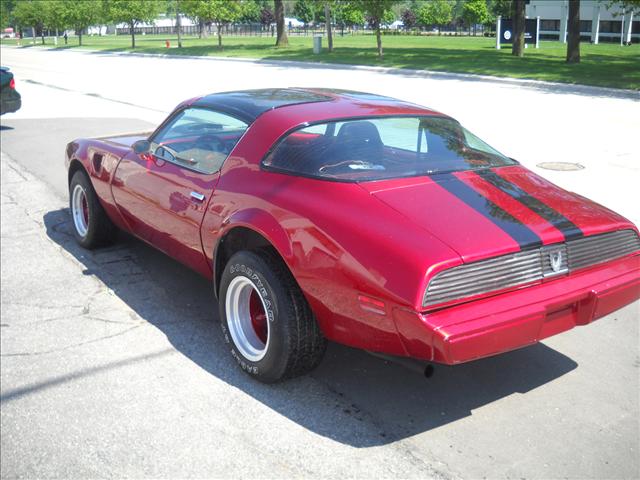 Pontiac Firebird 1981 photo 1