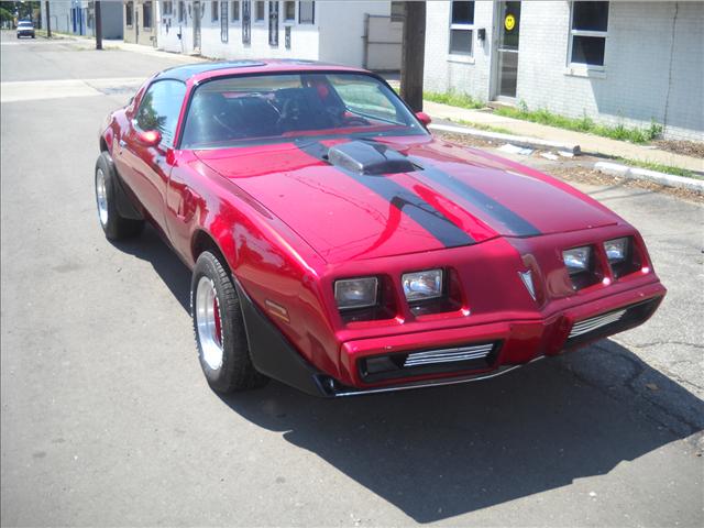 Pontiac Firebird 1981 photo 2