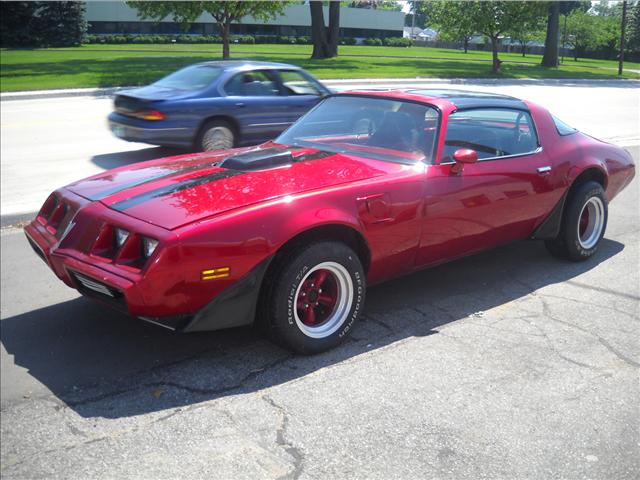 Pontiac Firebird 1981 photo 3