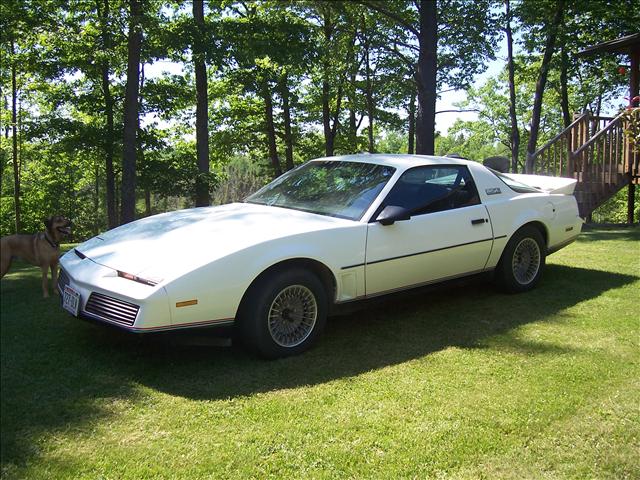 Pontiac Firebird 1982 photo 1