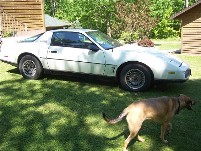 Pontiac Firebird 1982 photo 2
