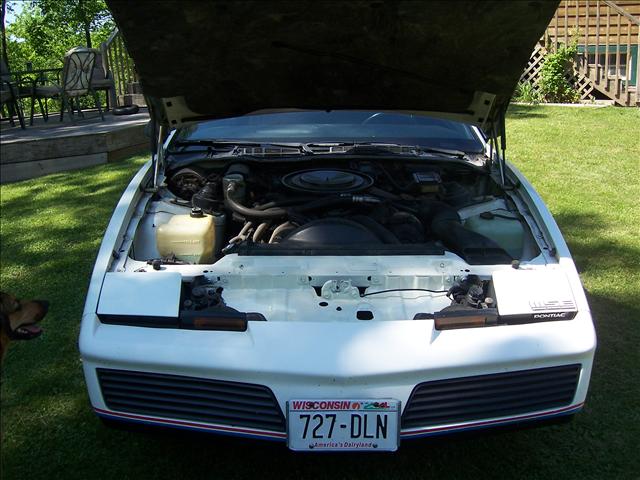 Pontiac Firebird 1982 photo 3
