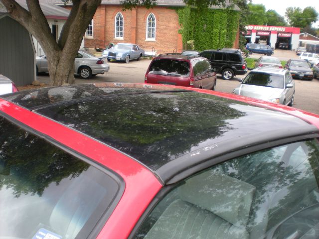 Pontiac Firebird 1991 photo 3