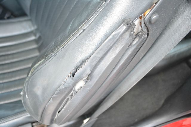 Pontiac Firebird 1995 photo 6