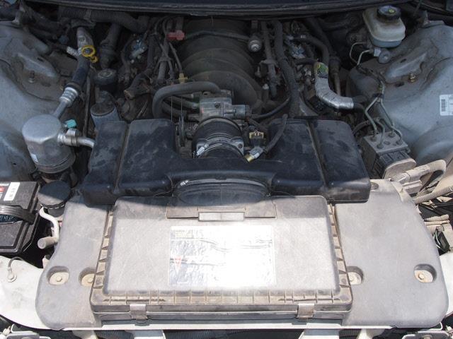 Pontiac Firebird 1998 photo 1