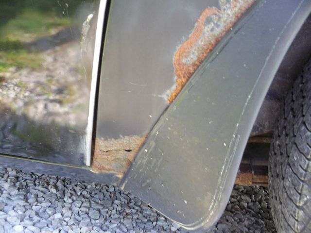 Pontiac TRANS AM 1977 photo 11