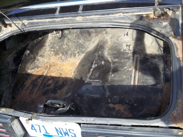 Pontiac TRANS AM 1977 photo 14