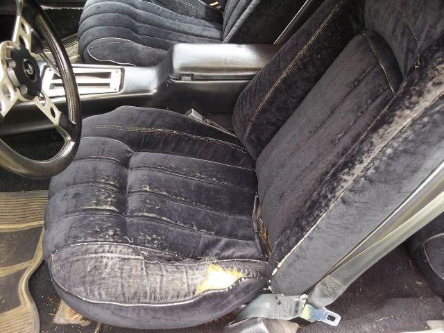 Pontiac TRANS AM 1977 photo 23