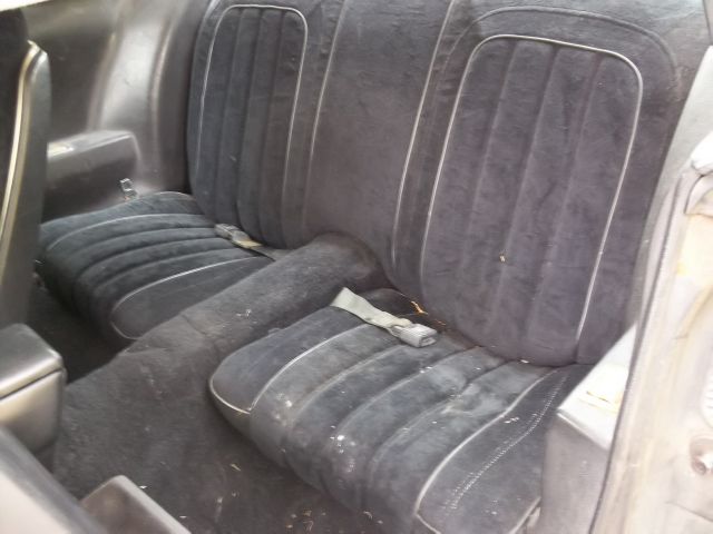 Pontiac TRANS AM 1977 photo 33