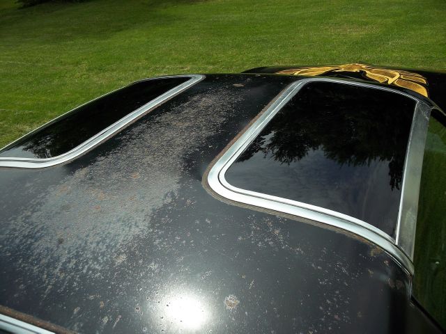 Pontiac TRANS AM 1977 photo 38