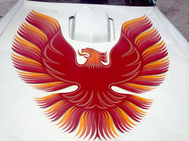 Pontiac TRANS AM 1979 photo 2