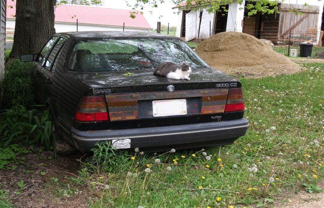 Saab 9000 Version 2 Sedan
